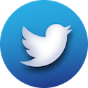 Twitter Icon